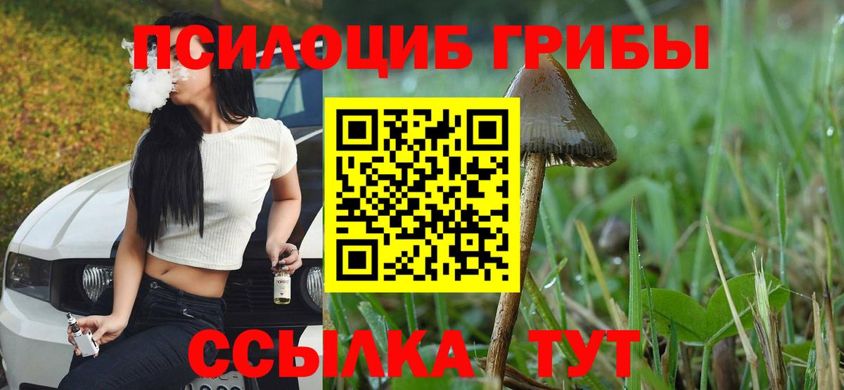 Псилоцибиновые грибы GOLDEN TEACHER Острогожск